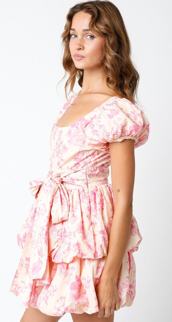 Sunset Watching Dress - Image 2