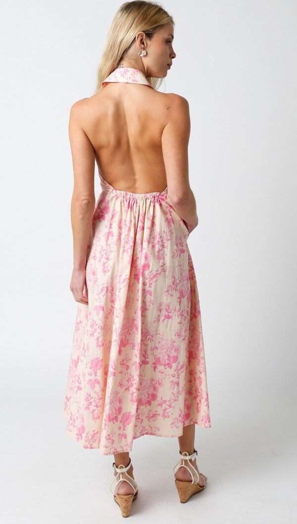 Alice Dress - Image 4