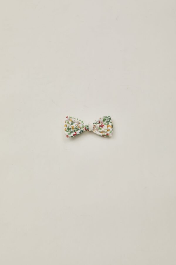 Bow Clip in Botany