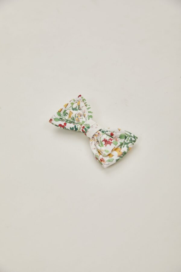 Bow Clip in Botany - Image 7